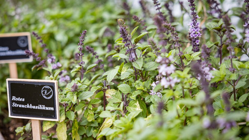 Natur- und Wellnesshotel Höflehner | © Netzwerk Kulinarik wildbild