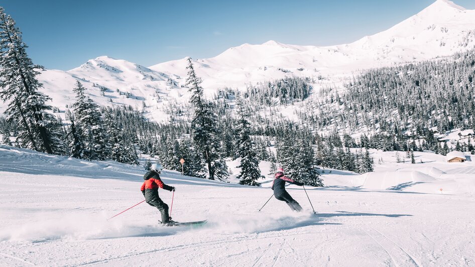 Planneralm - Impression #2.1 | © Armin Walcher