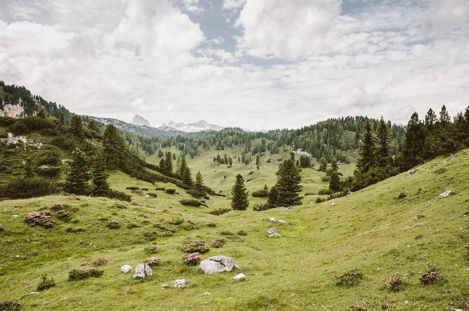 Wanderbus Forstau - Reiteralm - Impression #1